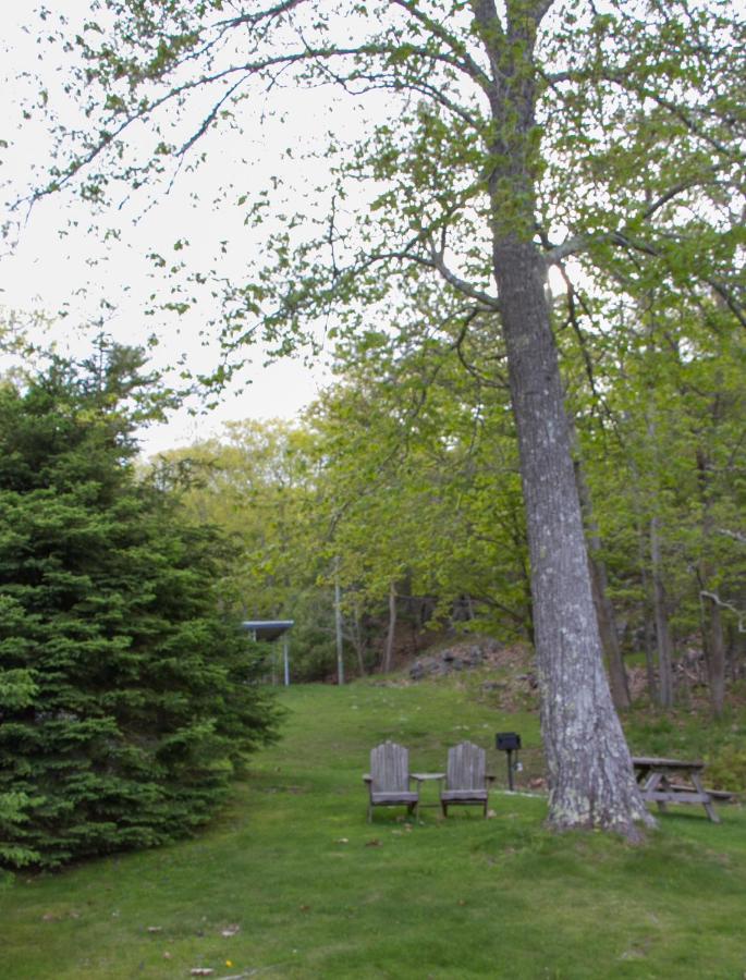 Bar Harbor Motel Exteriér fotografie